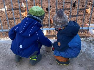 Ferienhof Roller - Simmersfeld - 5