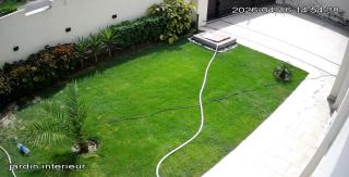 Luxe villa dha with swiming pool - 1