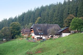 Kapfenmathishof Urlaubsbauernhof - Sankt Peter - 6