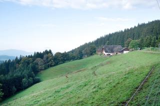 Kapfenmathishof Urlaubsbauernhof - Sankt Peter - 5