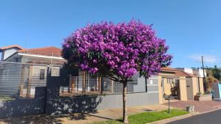 Casa - Matão - SP - 0