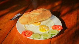 Jungle Boss Travel Lodge - 1