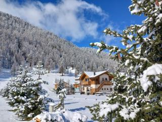 Botton d'oro Camping Stella Alpina - 1