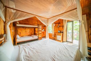 Jungle Boss Travel Lodge - 5