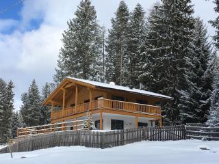 Piz Aich Natur Chalet Panorama - 3