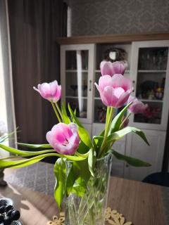 Narva Art Cat Apartment - Narva - 2