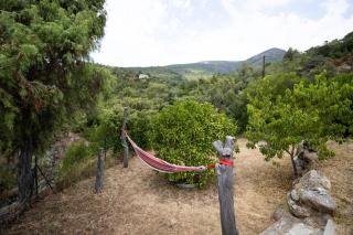 Au Pont De Tuarelli, Ludique, Fango - Manso - 3