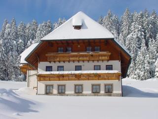 Klausenhof Schonach - Obertal - 8
