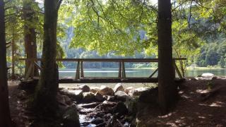 Klausenhof Schonach - Obertal - 6
