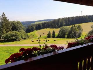 Klausenhof Schonach - Obertal - 7