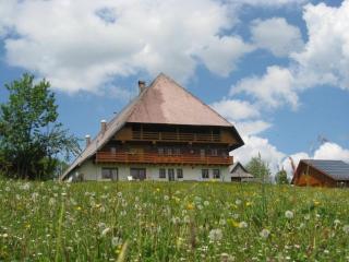 Klausenhof Schonach - Obertal - 9