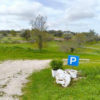 Antico trullo immerso nella campagna - 4
