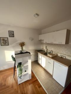 Bellevue - Vracar, Belgrade - 6