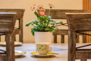 An den Weinbergen - 3