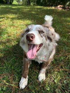 Chalé Primavera - 3