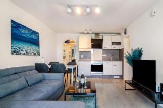 Blauer Seestern - Allensbach - 2