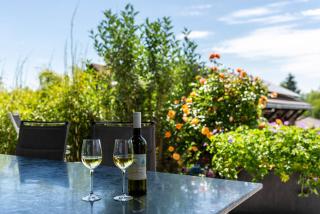 Blauer Seestern - Allensbach - 4