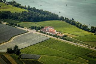 Schloss Kirchberg - Rosé - 8