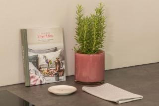 Schloss Kirchberg - Rosé - 3