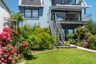 Blauer Seestern - Allensbach - 8