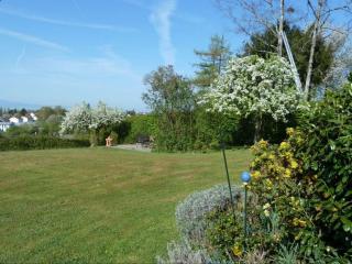 Panorama Seeblick - 2