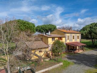 Podere La Grande Quercia - Rosignano Marittimo - 8