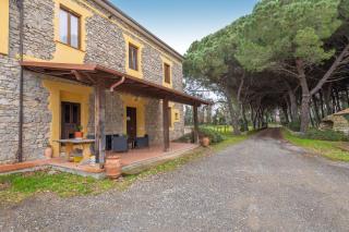 Podere La Grande Quercia - Rosignano Marittimo - 9