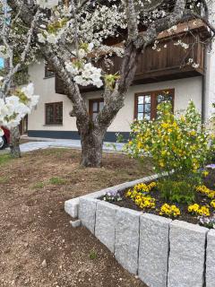Schwarzwaldnest Dachsberg - 8