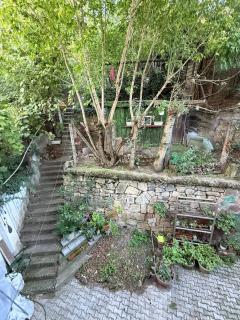 Quiet stay near Central Park with garden view - 4