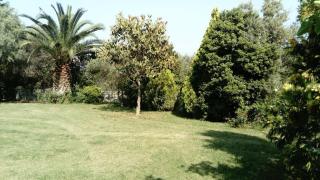 Villa Damis - Jasmine - 6