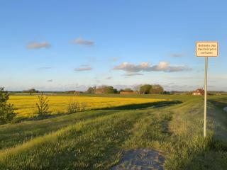 Fewo Elsternest - 5