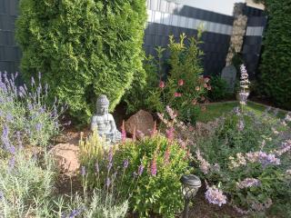 Ferienwohnung Sonnenblick und Relax - 6
