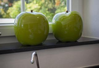 Fantastic renovated villa annex - 4