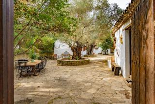 Cortijo rural las aves - 9