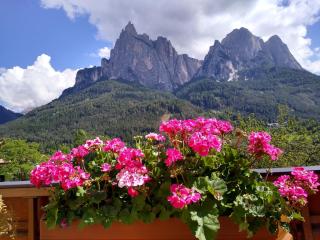 Apartment Santer Villa Erna - 7