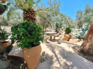 Casa Pina - Costitx - 5