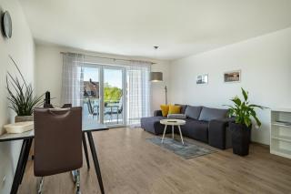 Fink - Vogelhaus - 7