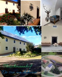 Fleischmannhof Do san ma dahoam - 5