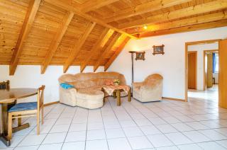 Beutenmühle Straussenfarm Dach - 5