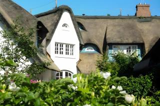 Gemütliche Wohnung Reet-Pool-Sauna - 0