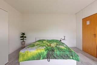 Haus Sonnenschein Bad Säckingen - 6