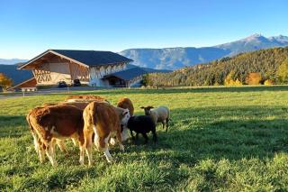 Haughof Apartement Blumenwiese - 8