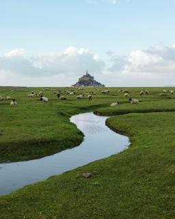 L'hermitage, Villa Front De Mer - Pirou - 6