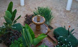 Dar Eddihi Essaouira - 5