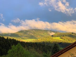 Black Forest Brandenkopfblick - 3