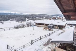 Ladinser Hof Western Suite - 4