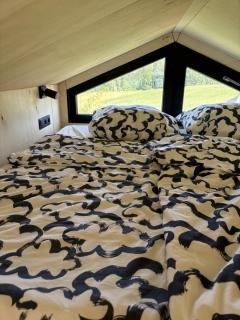 Zuhause im Freien - 1