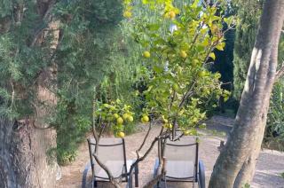 Diseño de Guido Maria Kretschmer - 5