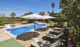 Rotana Casa Alba - 2