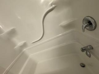 Private Home - Elegance at the Edge of the World - 4